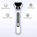 Home Facial Beauty Instrument Maxum